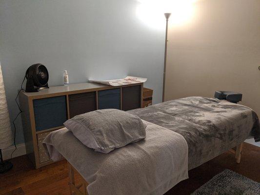 Massage & Treatment Room