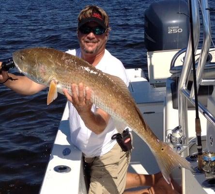 Bull redfish