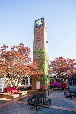 Outside of our beautiful dental office in Beaverton, Oregon.