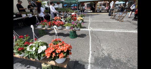 Center of the market