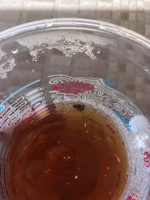 There was a fly in my iced tea. GROSSSSS