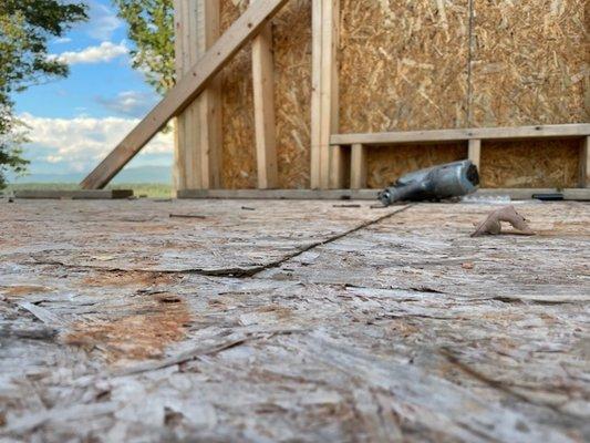 3 months in the weather because theres no roof will do this to your subfloor. Dont worry, they drilled 200 holes in to shed the water!