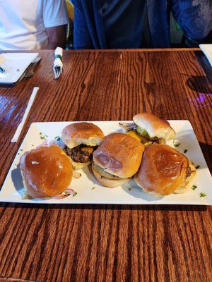 Chicago Classic Sliders