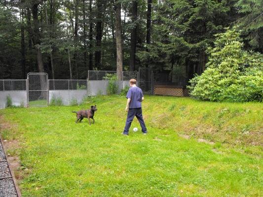 Dave plays ball with Bridget