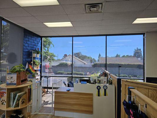 Inside view after a dual reflective 5 film installation for Click Start Dog Academy in Lake Forest.