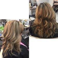 highlight color