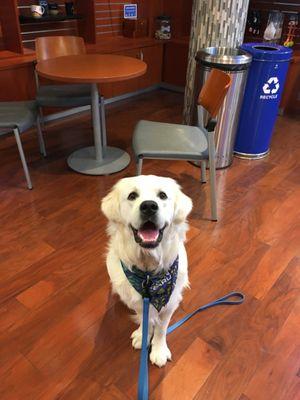 Could you love this guy any more? Yes, you can, now that you know his name is RALLY, the Subaru mascot.