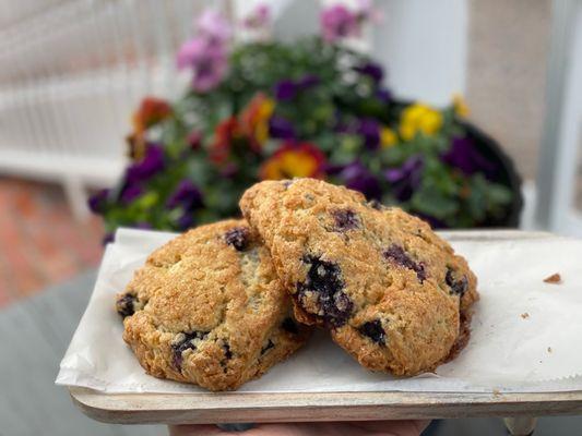 Blueberry Scones