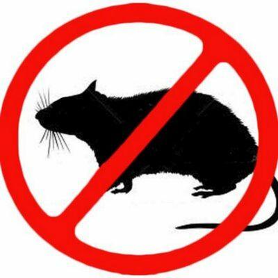 Keep rodents out PERMANENTLY!