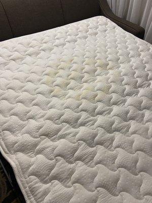 A urine stained sofa sleeper mattress