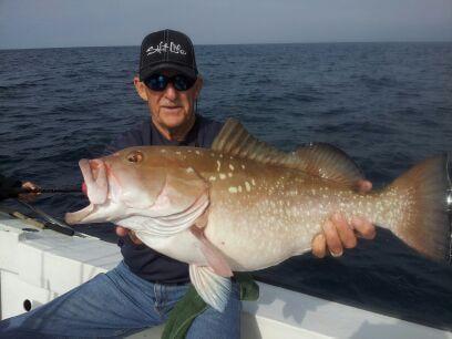 Red Grouper caught on the Surfrider.