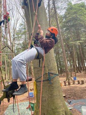 Tree climbing