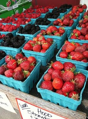 Hood strawberries at Berry Good