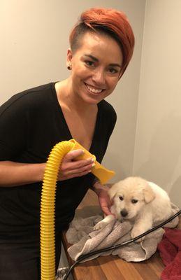 Little Otto getting his first Paw Spa.