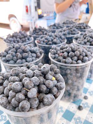 Blueberries