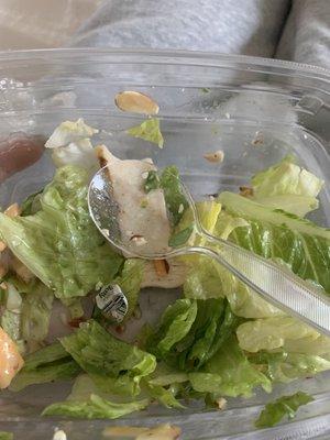 Found a sticker in my Asian chicken salad! Pretty disappointed.