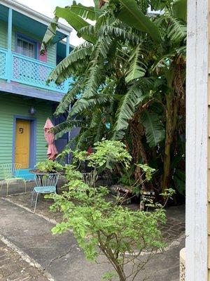 Banana tree courtyard