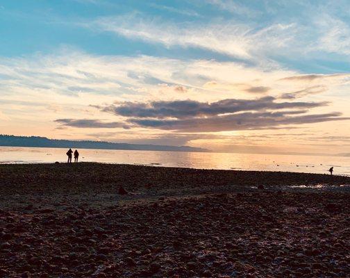 Panorama #4- Saltwater State Park, Des Moines, WA