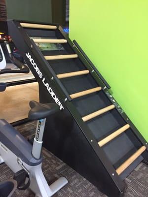 Jacobs ladder stairclimber-featured on Biggest Loser by Jillian Michaels