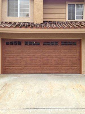 Wood like steel door in light finish