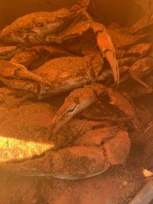 Crabs ready to eat!