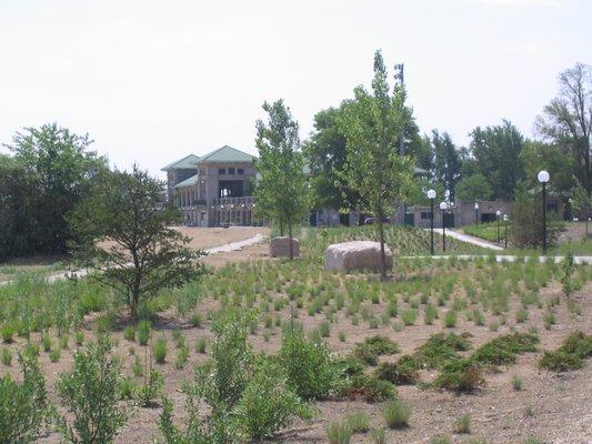 TGDA Inc design vision for 63rd Street Beach, Jackson Park 2005, has brought nature back to people and Chicago