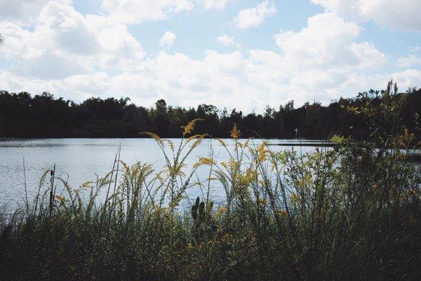 Beautiful Lake Gem