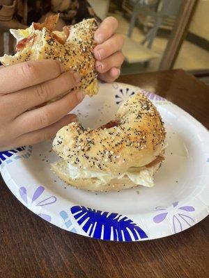 Everything Bagel Cafe