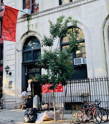 New York Public Library - Tompkins Square Library