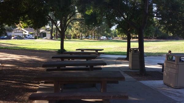 Picnic Tables