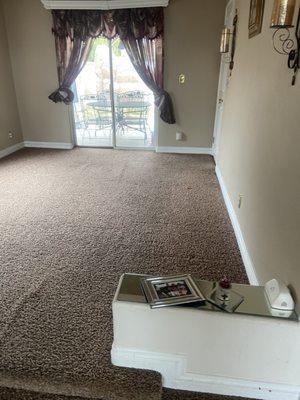 Ace Carpet Cleaning