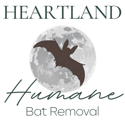 Heartland Humane Bat Removal with a silhouette of a bat flying in front of a full moon