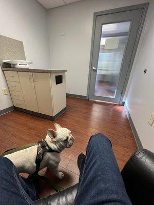 Nacho waiting to see the Dr.