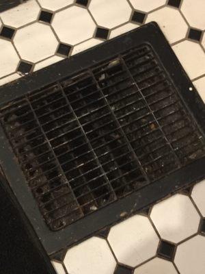 The most foul, dirty drain in the middle of the bathroom floor. If you're from Brooklyn, you know what "skeevy" means.