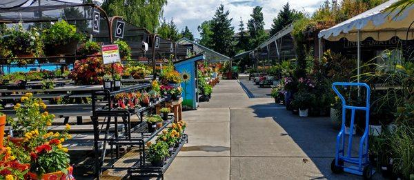 The nursery is much larger than it appears from the street.