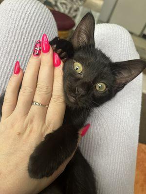 Pink Cheetah print nails and my beautiful baby