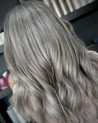 Silver Highlights