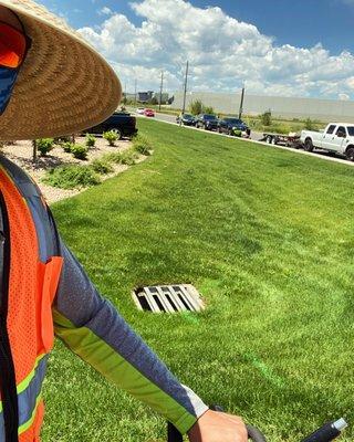 Commercial Lawn maintenance near Denver,CO