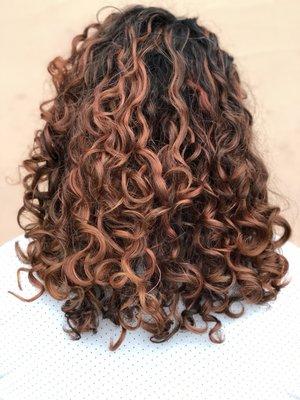 Deva cut and pintura highlights with a rose gold toner