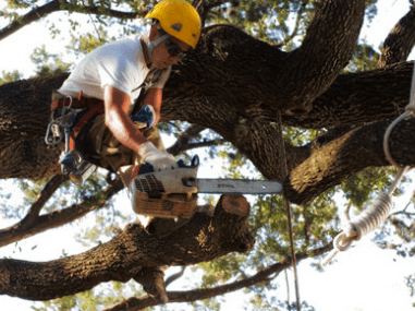 Green Leaf Landscaping & Irrigation