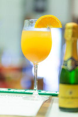 Froze Mimosa