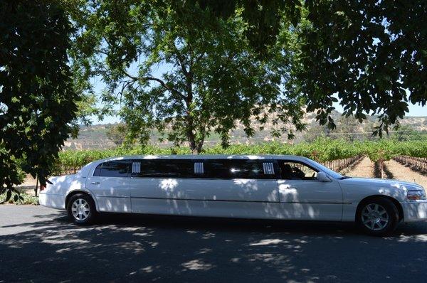 Allure Limo Wine Tours