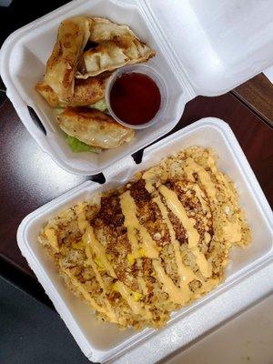 Veggie Gyoza and House Fried rice with yum yum