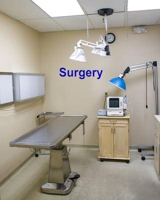 Surgery area