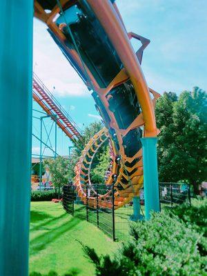 A train careening through the 2nd of two corkscrew elements