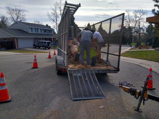 Team work makes the dream team PITT bull tree service