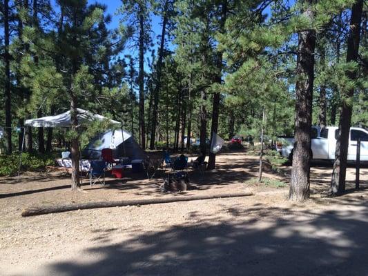 Bryce Canyon - Sunset Campground #293.