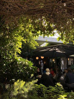 Outdoor courtyard