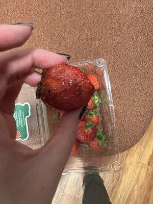 Gross rotten fruit at Burbank walmart