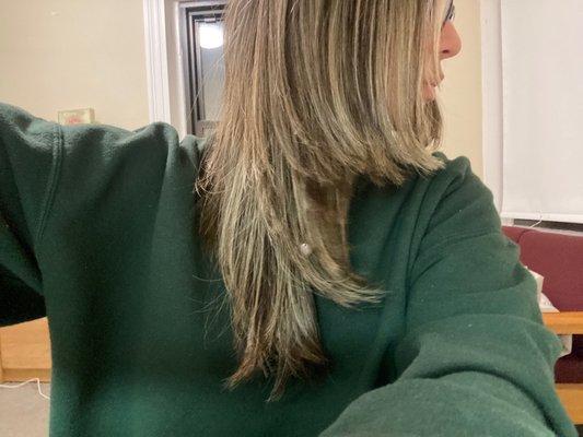 my very chopping and i blended haircut